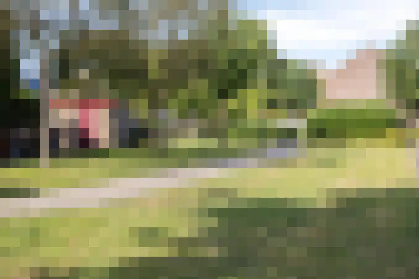 Draailier 43 Soest thumbnail 40