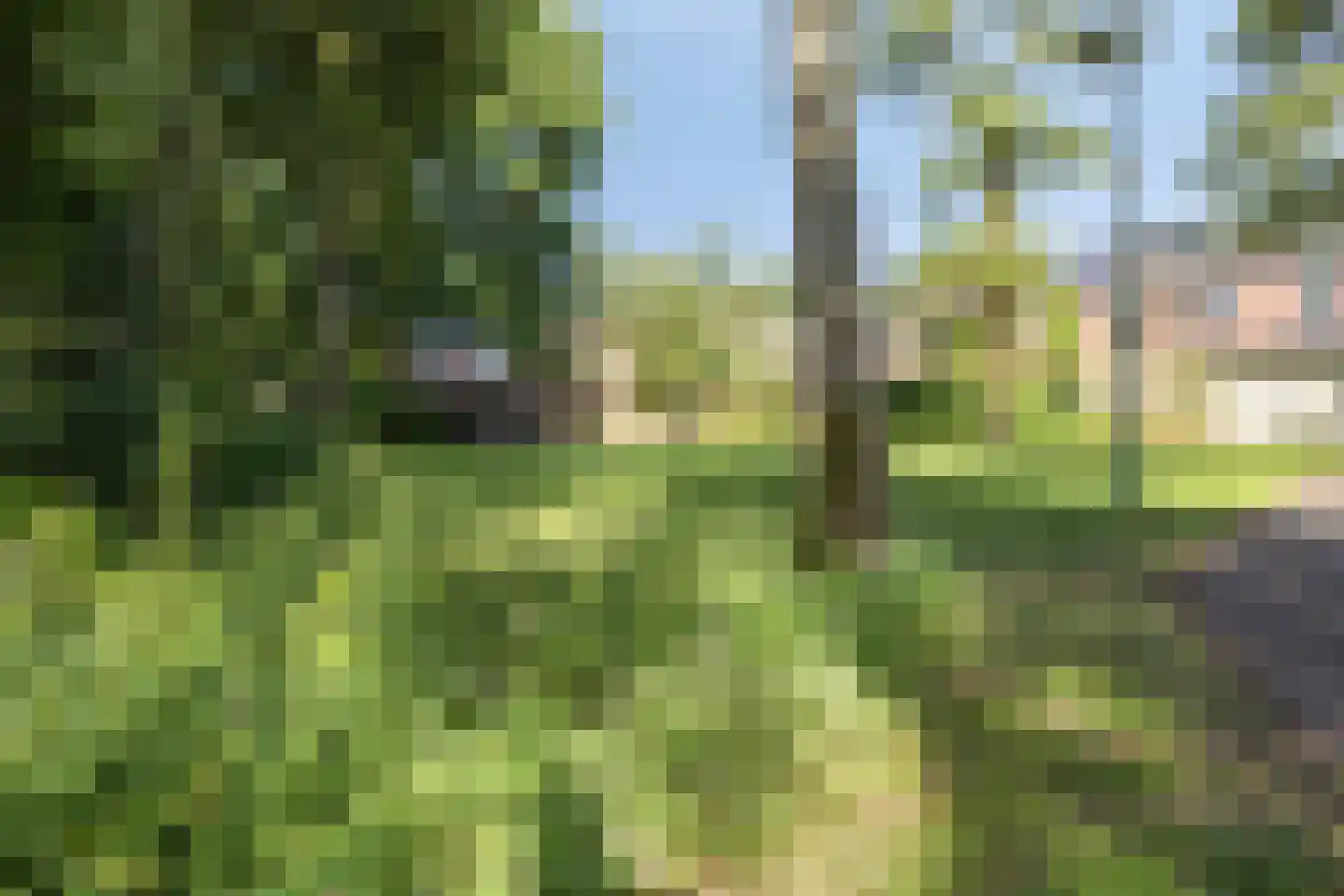 Draailier 43 Soest thumbnail 42