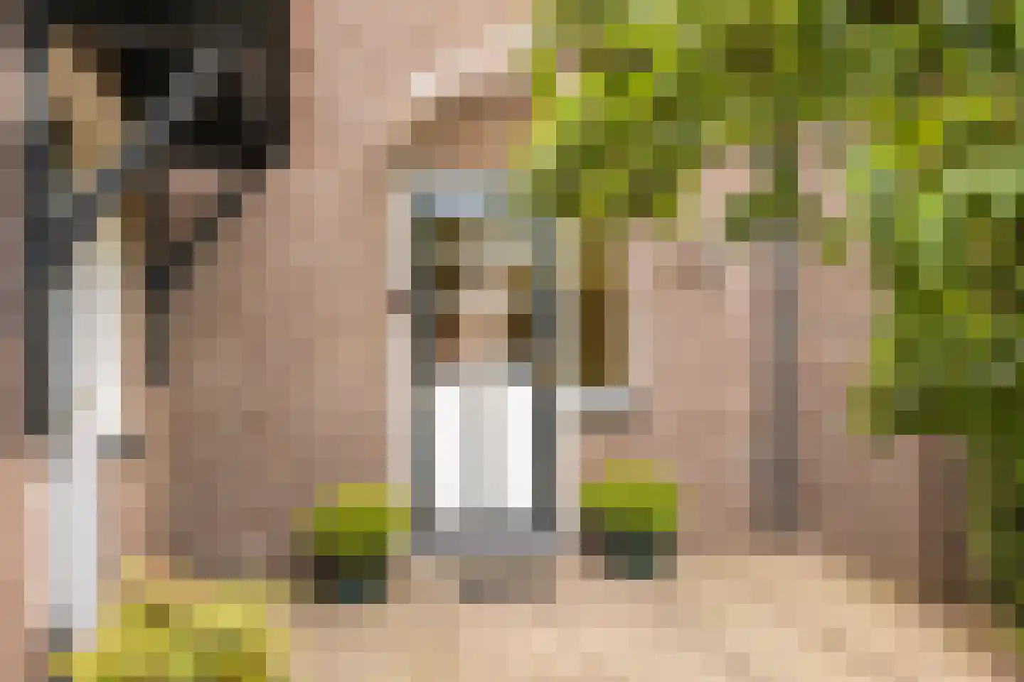 Draailier 43 Soest thumbnail 5