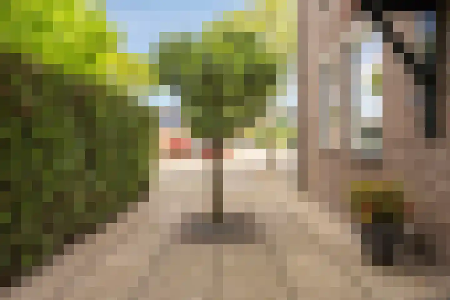 Draailier 43 Soest thumbnail 6