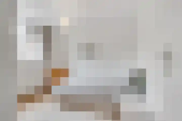 Draailier 71 Soest thumbnail 20
