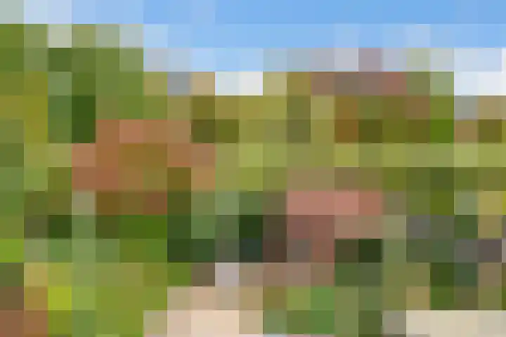 Draailier 71 Soest thumbnail 22