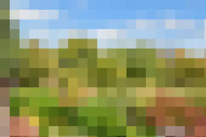 Draailier 71 Soest thumbnail 28
