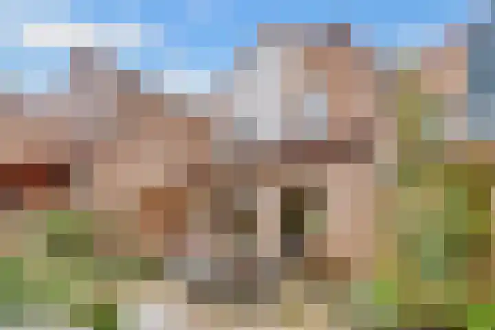 Draailier 71 Soest thumbnail 29