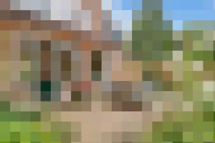 Draailier 71 Soest thumbnail 30