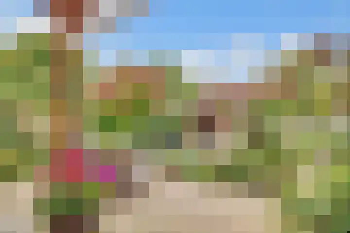Draailier 71 Soest thumbnail 31