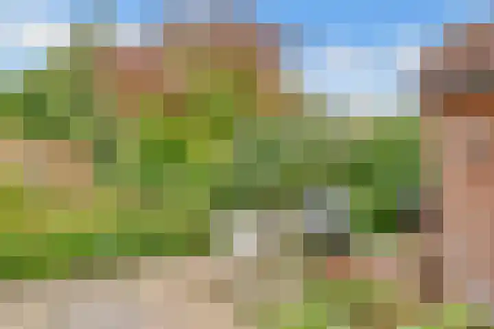 Draailier 71 Soest thumbnail 33