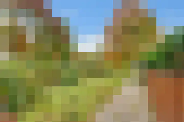 Draailier 71 Soest thumbnail 34
