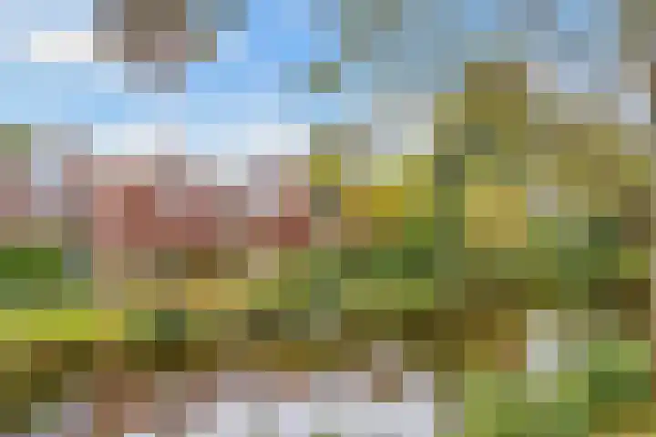 Draailier 71 Soest thumbnail 36