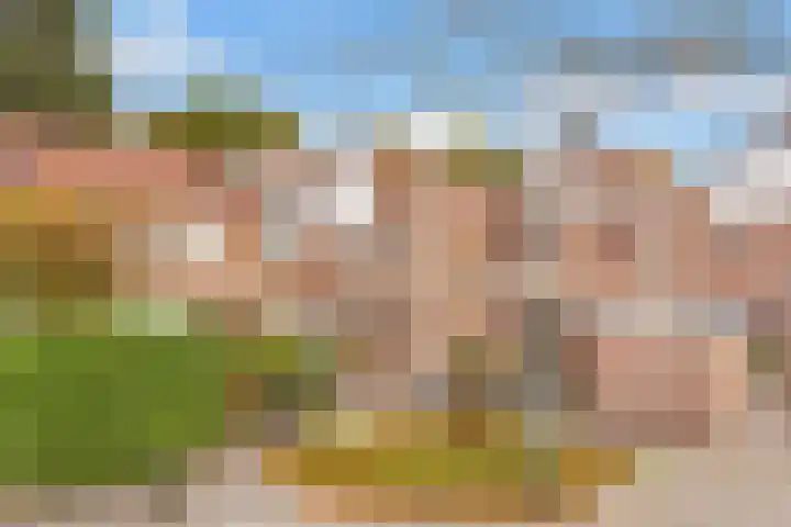 Draailier 71 Soest thumbnail 37