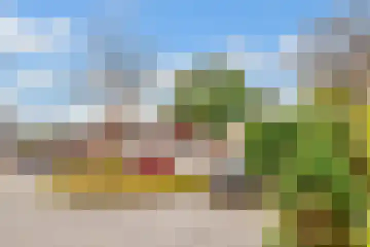 Draailier 71 Soest thumbnail 38