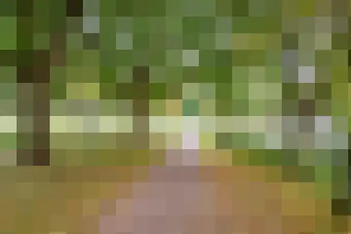 Draailier 71 Soest thumbnail 40