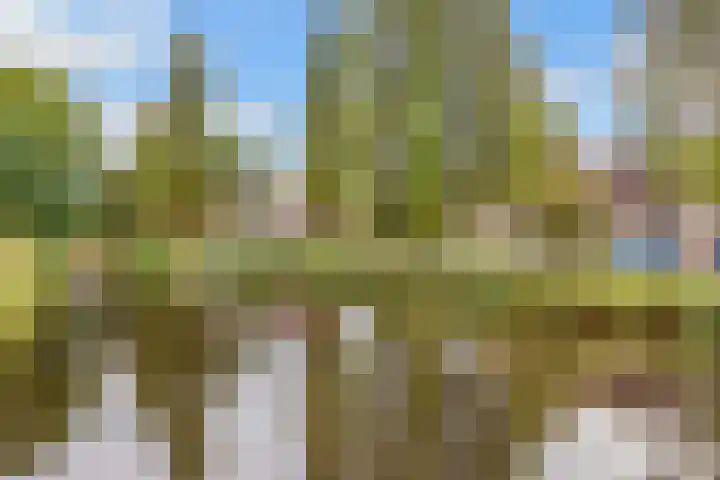 Draailier 71 Soest thumbnail 41
