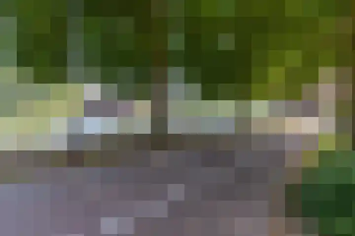 Draaiom 16 Nijmegen thumbnail 46