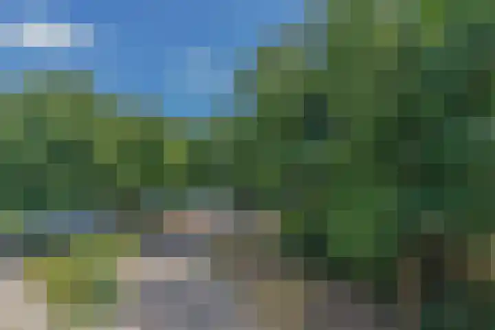 Draaiom 16 Nijmegen thumbnail 56