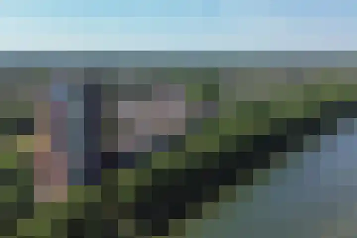 Draaiom 16 Nijmegen thumbnail 57