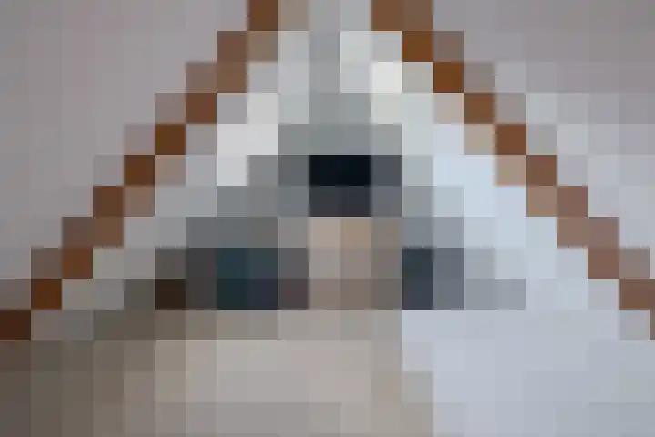 Draaiom 48 Nijmegen thumbnail 13