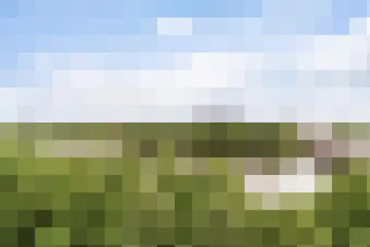 Draaiom 48 Nijmegen thumbnail 25