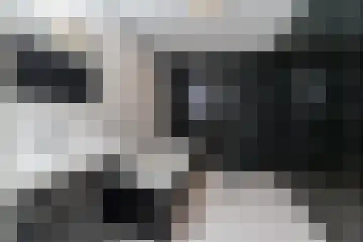 Draaiom 48 Nijmegen thumbnail 4