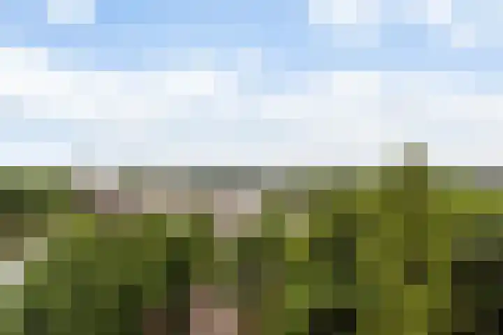 Draaiom 48 Nijmegen thumbnail 6