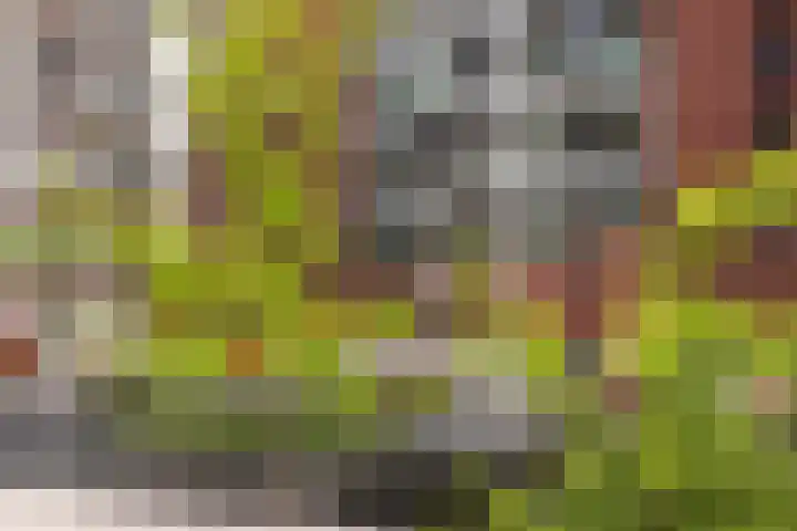 Draaiom 48 Nijmegen thumbnail 7