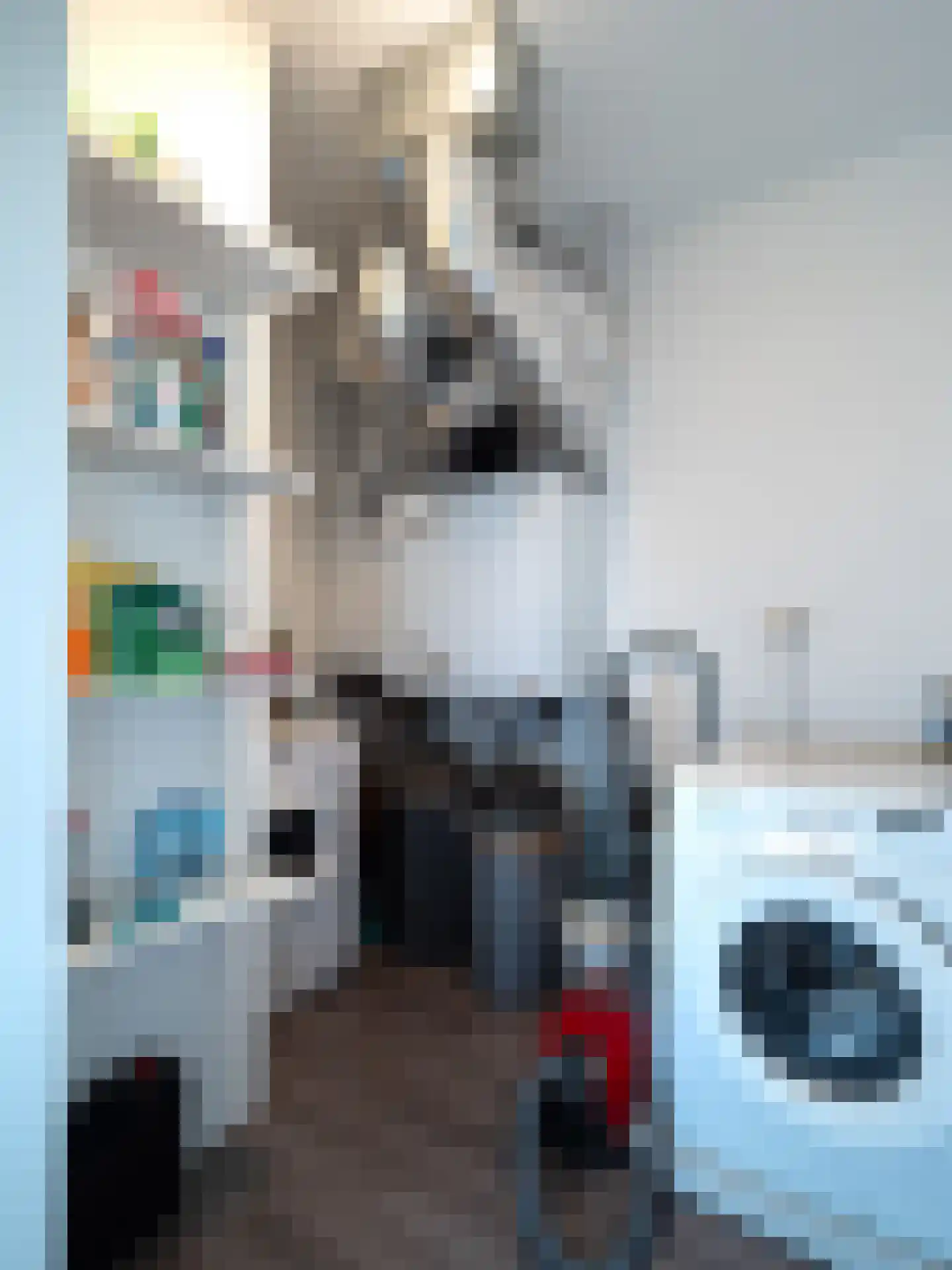 Draaiom 50 Nijmegen thumbnail 16