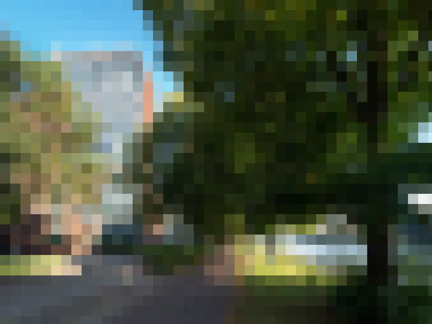 Draaiom 50 Nijmegen thumbnail 22