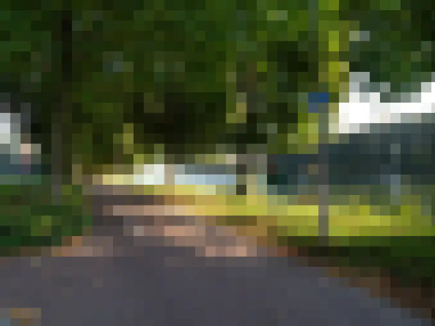 Draaiom 50 Nijmegen thumbnail 23