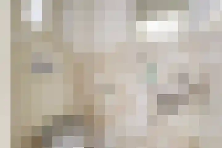 Draaiomsweg 36 Diepenveen thumbnail 11