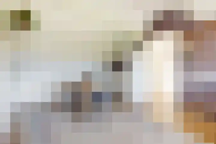 Draaiomsweg 36 Diepenveen thumbnail 21