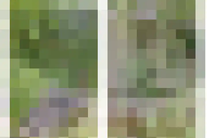 Draaiomsweg 36 Diepenveen thumbnail 24