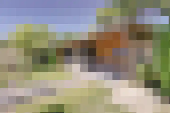Draaiomsweg 36 Diepenveen thumbnail 26