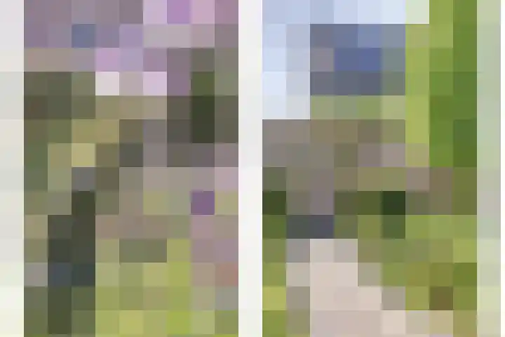 Draaiomsweg 36 Diepenveen thumbnail 29
