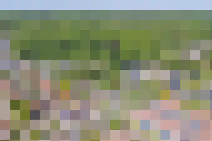 Draaiomsweg 36 Diepenveen thumbnail 31