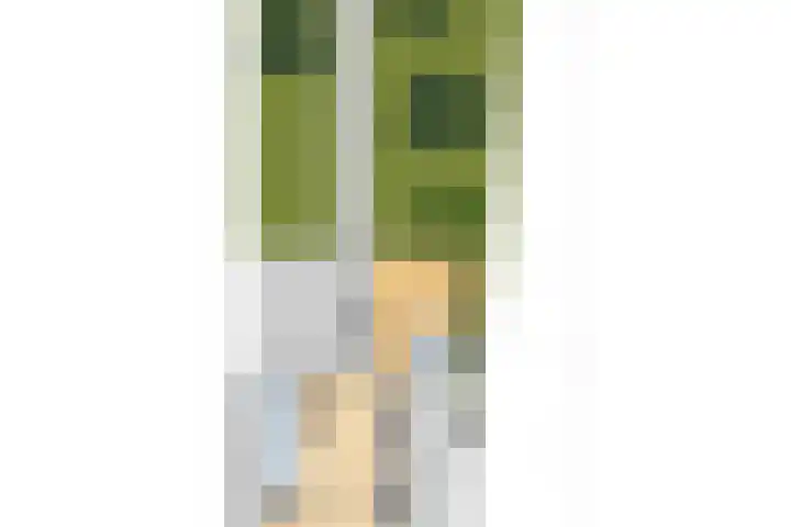 Draaiomsweg 36 Diepenveen thumbnail 33