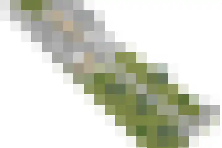 Draaiomsweg 36 Diepenveen thumbnail 38