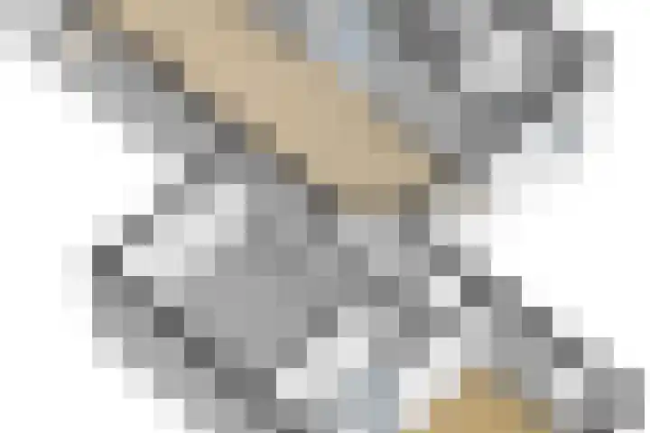 Draaiomsweg 36 Diepenveen thumbnail 39