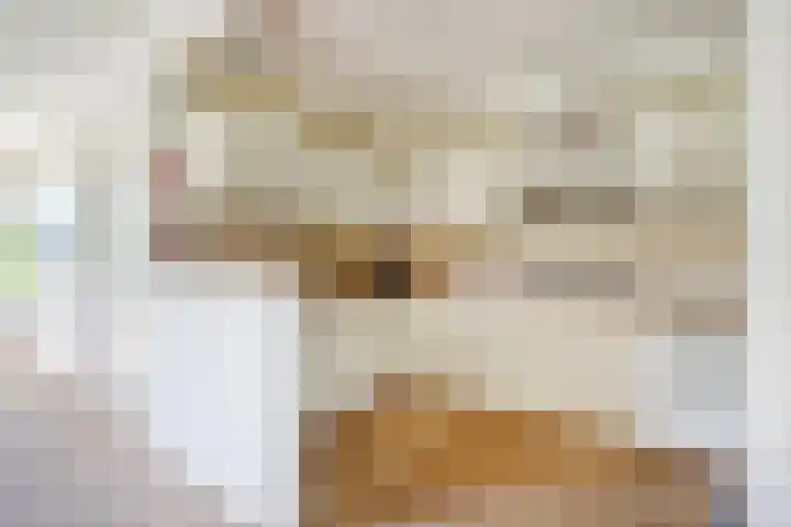 Draaiomsweg 36 Diepenveen thumbnail 8