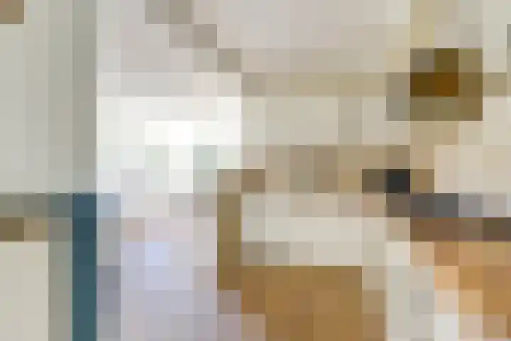 Draaiomsweg 36 Diepenveen thumbnail 9