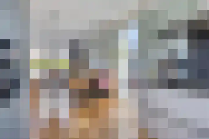 Draaischijf 39 Milsbeek thumbnail 11