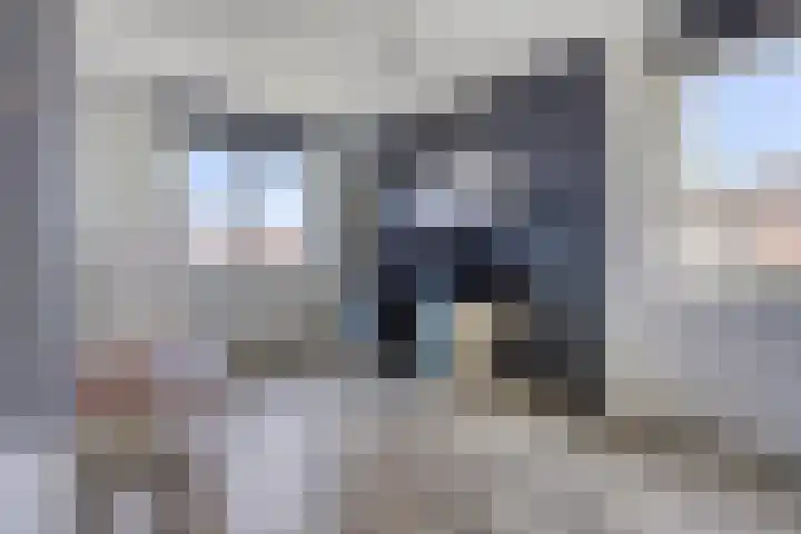 Draaischijf 39 Milsbeek thumbnail 17