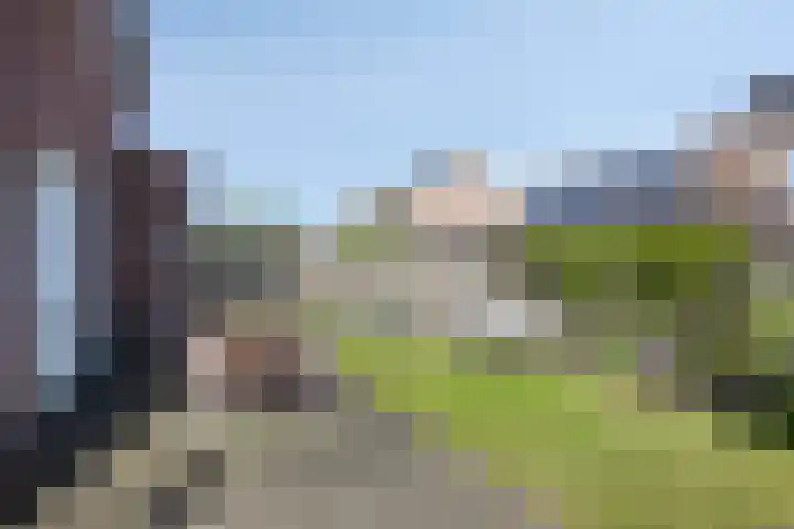 Draaischijf 39 Milsbeek thumbnail 27