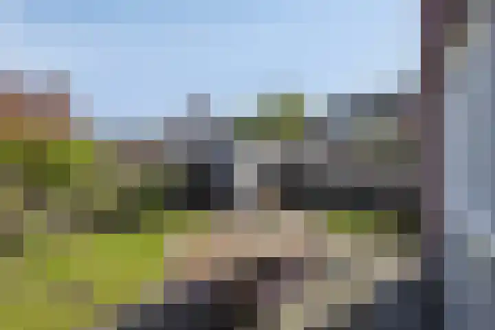 Draaischijf 39 Milsbeek thumbnail 28