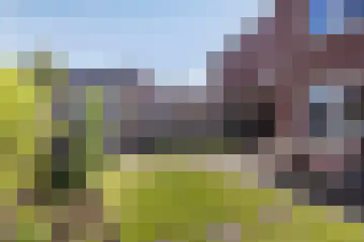 Draaischijf 39 Milsbeek thumbnail 29