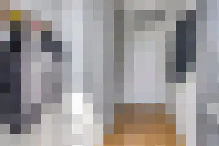 Draaischijf 39 Milsbeek thumbnail 7