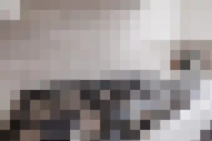 Draaischijf 43 Milsbeek thumbnail 13