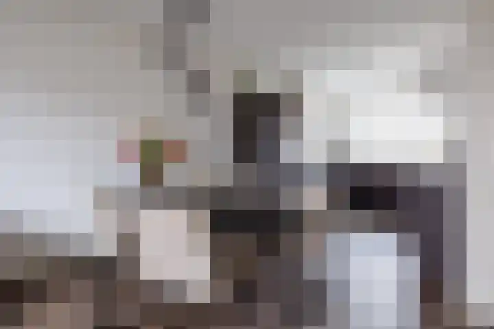 Draaischijf 43 Milsbeek thumbnail 16