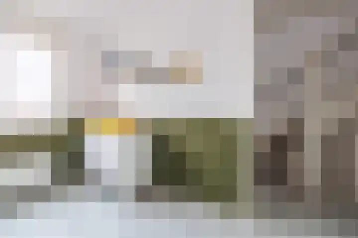 Draaischijf 43 Milsbeek thumbnail 25