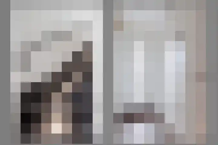 Draaischijf 43 Milsbeek thumbnail 5