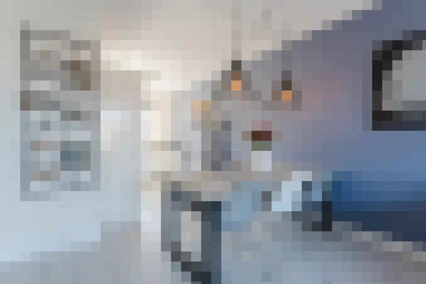 Draaistok 34 Boskoop thumbnail 12